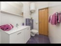 Apartments Ivi - 100 m from pebble beach: A1(2+2), A2(2+2), A3(2+2), A4(4+4), A5(2+2) Drasnice - Riviera Makarska  - Apartment - A1(2+2): bathroom with toilet