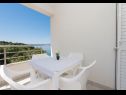 Apartments Ivi - 100 m from pebble beach: A1(2+2), A2(2+2), A3(2+2), A4(4+4), A5(2+2) Drasnice - Riviera Makarska  - Apartment - A5(2+2): terrace