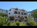 Apartments Jozo - 150 m from pebble beach: A1(2), A2(2), A3(2), A4(4), A5(4) Gradac - Riviera Makarska  - house