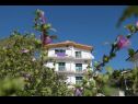 Apartments Gloria - 5 min to the beach : SA1(3+1), SA2(3), SA3(3), SA4(4), SA5(3), SA6(3), SA7(2), A8(6+4) Gradac - Riviera Makarska  - house