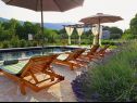 Holiday home Villa Marta - with pool: H(6+2) Kozica - Riviera Makarska  - Croatia - house