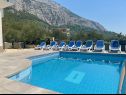 Holiday home Sandra - with pool : H(10+2) Makarska - Riviera Makarska  - Croatia - H(10+2): swimming pool