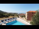 Holiday home Sandra - with pool : H(10+2) Makarska - Riviera Makarska  - Croatia - swimming pool (house and surroundings)