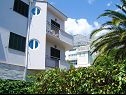 Apartments Cobra - excellent location: A1(2+2), SA2(2+1), A4(4+2) Tucepi - Riviera Makarska  - house