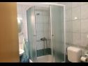 Apartments Antisa - with playground: A1 jug(4+1), A2 sjever(4) Tucepi - Riviera Makarska  - Apartment - A1 jug(4+1): bathroom with toilet