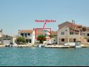 Apartments Drago - 50 m from sea: A2(2+2) Betina - Island Murter  - house