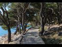 Holiday home Ante - spacious & close to the sea: H(8+2) Tisno - Island Murter  - Croatia - walking track