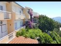 Apartments Nina - sea view family apartments SA1A(4), A1Donji(2+2), A3(6), A4(4+1), A5(6+1), A6(4) Celina Zavode - Riviera Omis  - house
