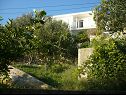 Apartments Mirela - with sea view, balcony: A1(4+1), SA2(2) Pisak - Riviera Omis  - greenery