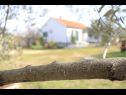 Holiday home Pavica K H(5) Pasman - Island Pasman  - Croatia - H(5): detail (house and surroundings)