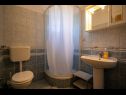 Apartments Den - 100 m from sea: A1(2+2), A2(2+2), A3(2+1) Pasman - Island Pasman  - Apartment - A1(2+2): bathroom with toilet