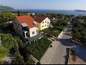 Apartments Ivo - 400 m from sea: SA1(2), SA2(2), A3(5+1), A4(2+1), A5(2+1), A6(3), A7(4+1), A8(4+1) Orebic - Peljesac peninsula  - house