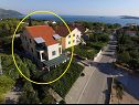 Apartments Ivo - 400 m from sea: SA1(2), SA2(2), A3(5+1), A4(2+1), A5(2+1), A6(3), A7(4+1), A8(4+1) Orebic - Peljesac peninsula  - house