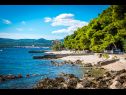 Holiday home Lidi - 30 m from beach: H(6+2) Orebic - Peljesac peninsula  - Croatia - detail (house and surroundings)