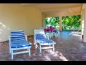 Holiday home Lidi - 30 m from beach: H(6+2) Orebic - Peljesac peninsula  - Croatia - garden terrace