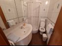Apartments Dami - 100m from the sea A1 Sun(2+1), A2 Earth(2+1), A3 Sea(2+1), A4 Wind(2+1) Orebic - Peljesac peninsula  - Apartment - A2 Earth(2+1): bathroom with toilet