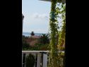 Apartments Dami - 100m from the sea A1 Sun(2+1), A2 Earth(2+1), A3 Sea(2+1), A4 Wind(2+1) Orebic - Peljesac peninsula  - Apartment - A3 Sea(2+1): terrace view