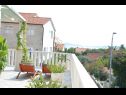Apartments Dami - 100m from the sea A1 Sun(2+1), A2 Earth(2+1), A3 Sea(2+1), A4 Wind(2+1) Orebic - Peljesac peninsula  - Apartment - A4 Wind(2+1): terrace