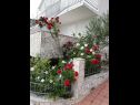 Apartments Vida with garden: A1(2+2) - Naranča, A2(2+2) -  Limun, A3(2+2) - Maslina, SA4(4) - Studio Mandula Orebic - Peljesac peninsula  - flowers