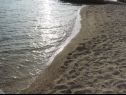 Holiday home Pet - 20m from the sea: H(6) Barbat - Island Rab  - Croatia - beach
