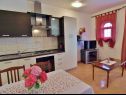 Apartments Zdenka - garden terrace: A1(5), A2(4), A3(2+2) Barbat - Island Rab  - Apartment - A1(5): kitchen