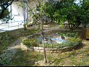 Apartments Ren - 150 m from beach: A3(2+1) Kampor - Island Rab  - courtyard