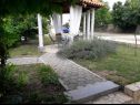 Apartments Pavilion - beautiful garden & comfortable: A1(6) Kampor - Island Rab  - garden (house and surroundings)