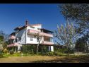 Apartments Davorka - with sea view: A1(4+1), A2(4+1) Kampor - Island Rab  - house