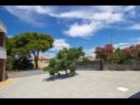 Apartments Mila - 100m from the sea: A2(4), A3(2+2) Brodarica - Riviera Sibenik  - courtyard (house and surroundings)