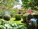 Apartments Mila - family friendly & comfortable: A1 (6+1) Vodice - Riviera Sibenik  - garden terrace