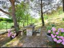 Holiday home Brane - relaxing in nature: H(9) Zaton (Sibenik) - Riviera Sibenik  - Croatia - garden