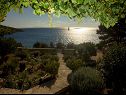 Holiday home Ani - 30 m from beach : H(4+1) Maslinica - Island Solta  - Croatia - sea view (house and surroundings)