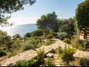 Holiday home Ani - 30 m from beach : H(4+1) Maslinica - Island Solta  - Croatia - sea view (house and surroundings)