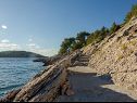 Holiday home Ani - 30 m from beach : H(4+1) Maslinica - Island Solta  - Croatia - beach