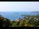 Holiday home Sunce - relaxing & quiet: H(2+2) Maslinica - Island Solta  - Croatia - detail