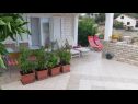 Holiday home More - with large terrace : H(4) Necujam - Island Solta  - Croatia - house