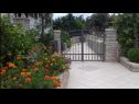 Holiday home More - with large terrace : H(4) Necujam - Island Solta  - Croatia - flowers