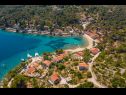 Holiday home Villa Ante - with pool: H(6) Rogac - Island Solta  - Croatia - vegetation (house and surroundings)