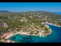 Holiday home Villa Ante - with pool: H(6) Rogac - Island Solta  - Croatia - vegetation (house and surroundings)