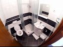 Apartments Star - with swimming pool: A1(4), A4 lavanda(4), A3 ruzmarin(4), A5(6), A6(6) Stomorska - Island Solta  - Apartment - A1(4): bathroom with toilet