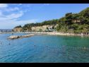 Apartments Brane - great location & garden terrace: A1(6+1) Split - Riviera Split  - beach