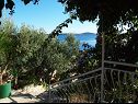 Apartments Mare - peaceful: A1(5+1), A2(6) Cove Ljubljeva (Vinisce) - Riviera Trogir  - Croatia - detail (house and surroundings)