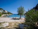 Apartments Sretan A1-Rogač(5+1), A2-Višnja(4+1), A3-Kiwi(2+1) Cove Ljubljeva (Vinisce) - Riviera Trogir  - Croatia - beach