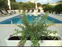 Apartments Mario - apartment with pool: A1(6+2) Marina - Riviera Trogir  - swimming pool