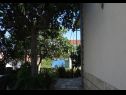 Apartments Pero - 70m from the sea: A1(6), A2(2) Marina - Riviera Trogir  - garden