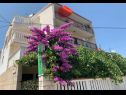 Apartments Per - 80 m from beach: SA2(2+1), A5(3), A6(2+1), A45(9), SA3(3), A7(2+1) Marina - Riviera Trogir  - house