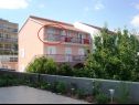 Apartments Anđelka - 50 m from beach: A3(9), A4(4), A5(2) Marina - Riviera Trogir  - Apartment - A5(2): apartment