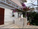 Apartments Vesna - 40 m from pebble beach: A1(4+1), A2(4), A3(4+1) Seget Vranjica - Riviera Trogir  - courtyard