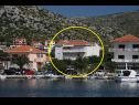 Apartments Vesna - 40 m from pebble beach: A1(4+1), A2(4), A3(4+1) Seget Vranjica - Riviera Trogir  - house