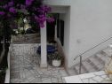 Apartments Zeljko - with garden: A1(4), SA2(2+1) Seget Vranjica - Riviera Trogir  - courtyard